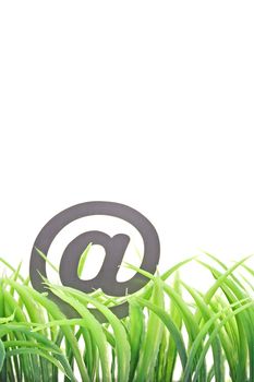 A grey web sign stands behind growing grass on an isolated background.