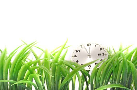 A clock lying in some blades of grass. All isolated on white background.