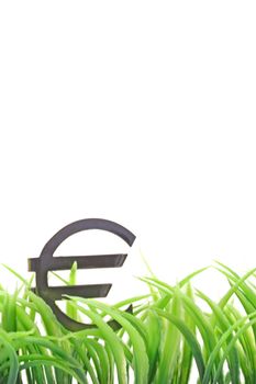 A Euro sign on some blades of grass. All isolated on white background.