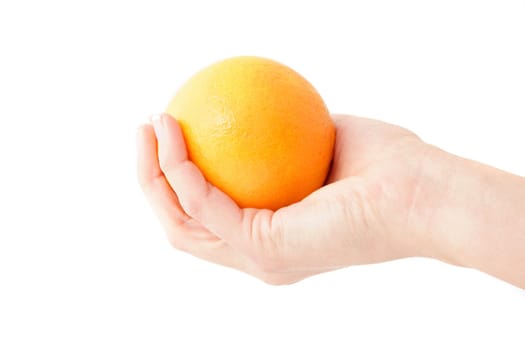 A human hand holding an orange. All isolated on white background.