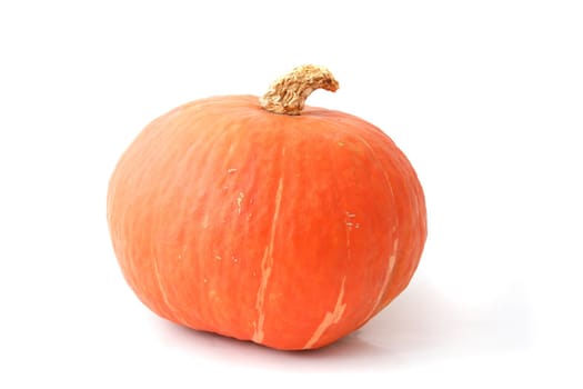 A pumpkin lying in front of a white background.