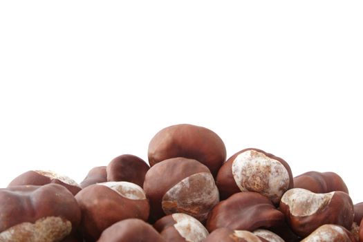 A pile of chestnuts in front of white background.