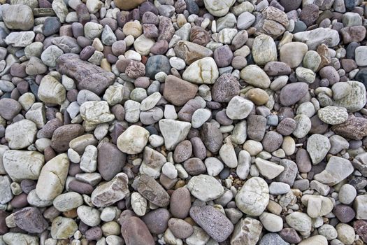 many stones laying around at beach. closeup shot.