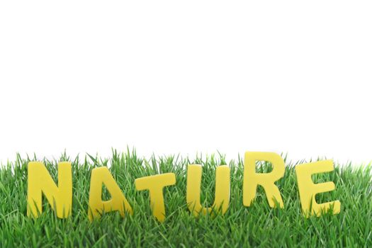 The word nature out of yellow letters in a green meadow. All on white background.