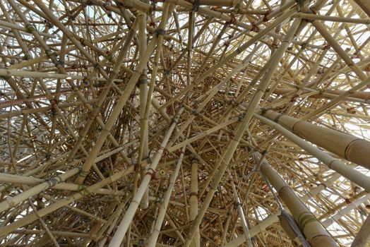 thousands of bamboo canes woven together