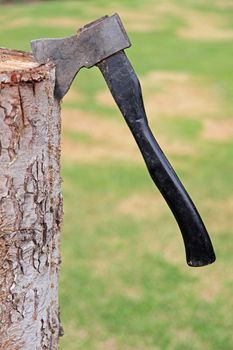 An axe sticking in a tree trunk.