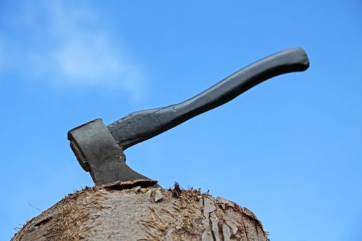 An axe sticking in a tree trunk.