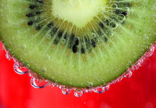 A fresh green kiwi fruit in soda water.