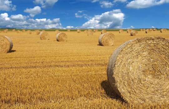 A wide open field showing some bales of straw.