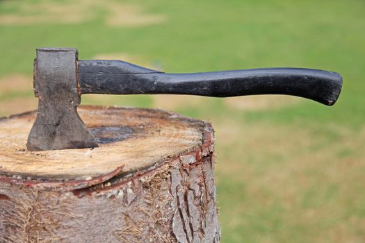 An axe sticking in a tree trunk.