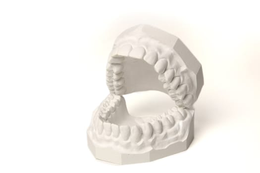 A plaster cast in blue tone of a set of teeth. All isolated on white background.