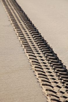 Vehicle tracks on a beach damaging the environment.