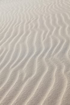 Typical sand texture on the beach or desert.