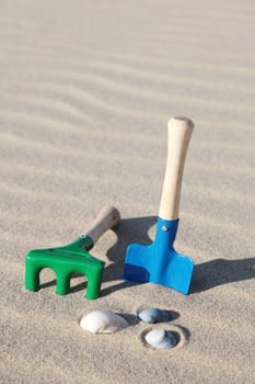 Toys lying next to some shells on the beach.