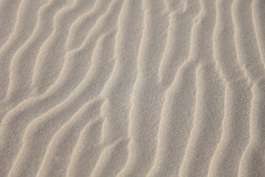 Typical sand texture on the beach or desert.