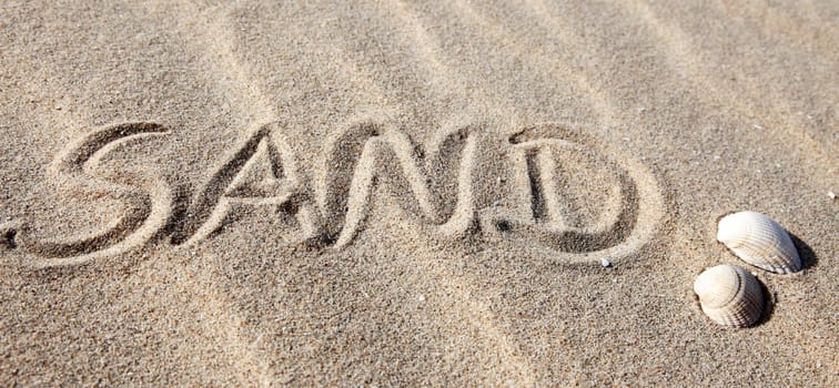 The word sand written on a beach.