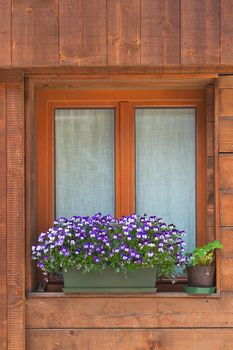 Typical alpine window, decorated with flowers