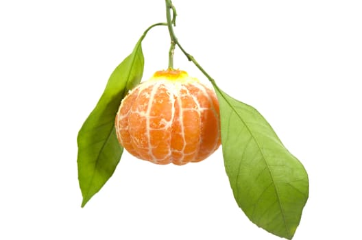 In leafy peeled tangerine
