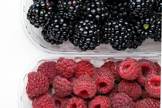 Wild berries: raspberries, blackberries