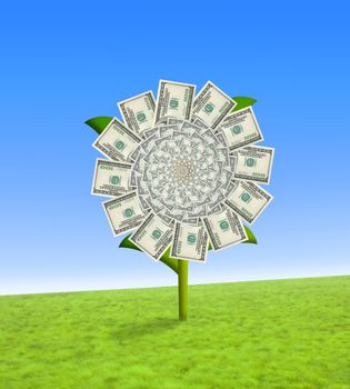 Concept of a sun flower with dollar bill leaves.