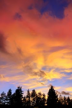 red clouds at sunset above tree silhouettes on the Lake Tahoe California