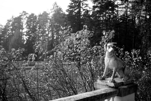 Marble dog in autumn park
