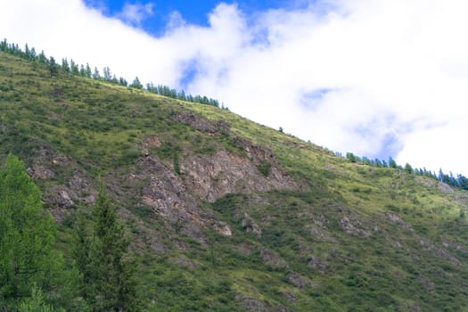 Mountain panorama: sky, clouds and forest 

