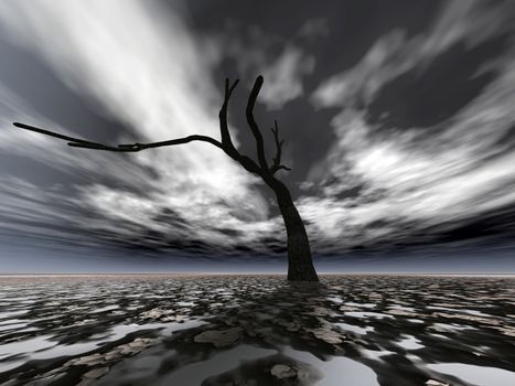 Dead tree on a background of the fantastic sky