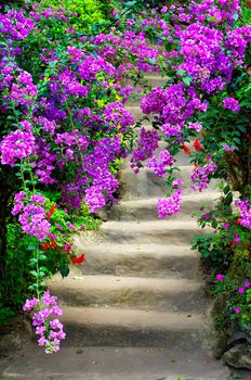 Beautiful dreamy colorful flowers in blossom and old garden stairway