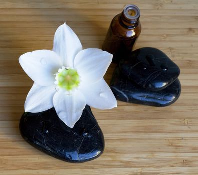 Spa black stones with white flower and bottle of oil on wooden background