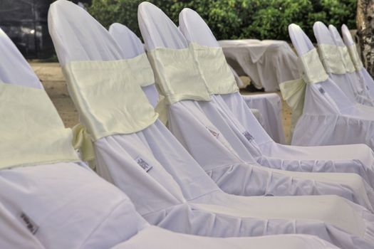 Ribons on chairs laid out for a tropical wedding