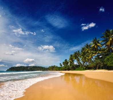 Tropical vacation holiday background - paradise idyllic beach. Sri Lanka