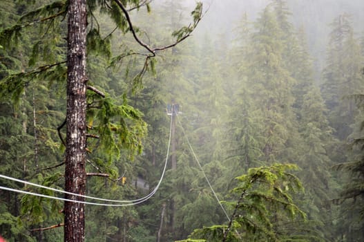 Ketchikan ziplining