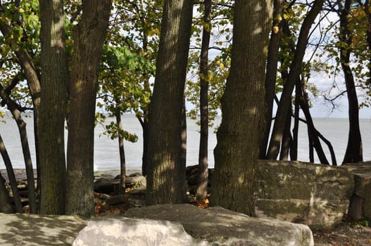 Rocks trees and water background