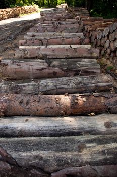 piles of wooden logs