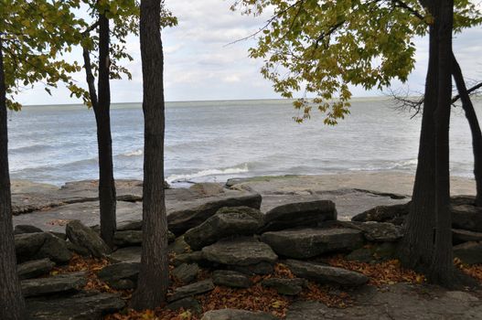 Rocks trees and water background