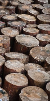 piles of wooden logs