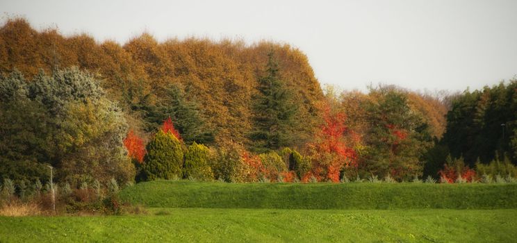 Colors of Fall in Lucca, Tuscany