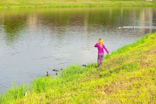 girl looking at the ducks with ducklings