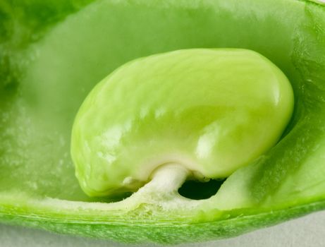 Green pod isolated on white