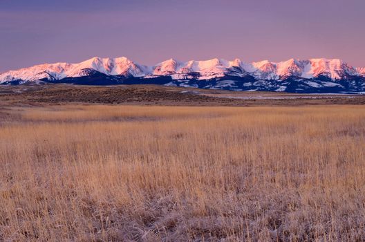 Prairie grasses and the The Bridger Mountains at sunrise, Park County, Montana, USA