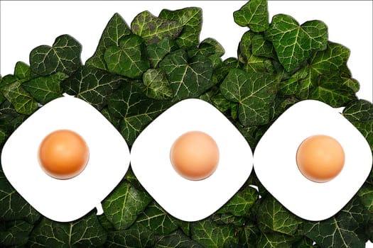 Three eggs and egg cups on a green background