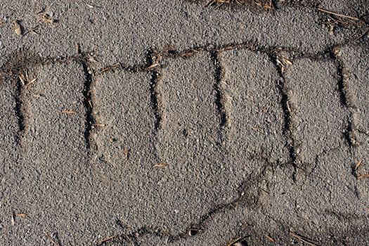 Fragment of old cracked asphalt road with dirt and falling leaves