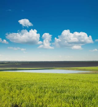 spring landscape with green field and pond