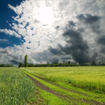 rural road under dramatic sky