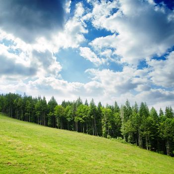 Beautiful green mountain landscape with trees in Carpathians