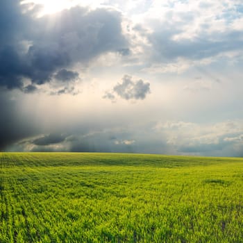 dramatic sky over green field