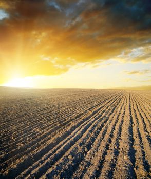 agricultural black field and sunset