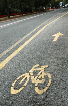 Bicycle track in Budapest