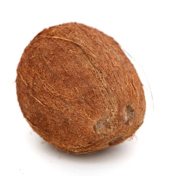 Fresh whole coconut on a white background with closeup detail of the texture of the fibrous husk